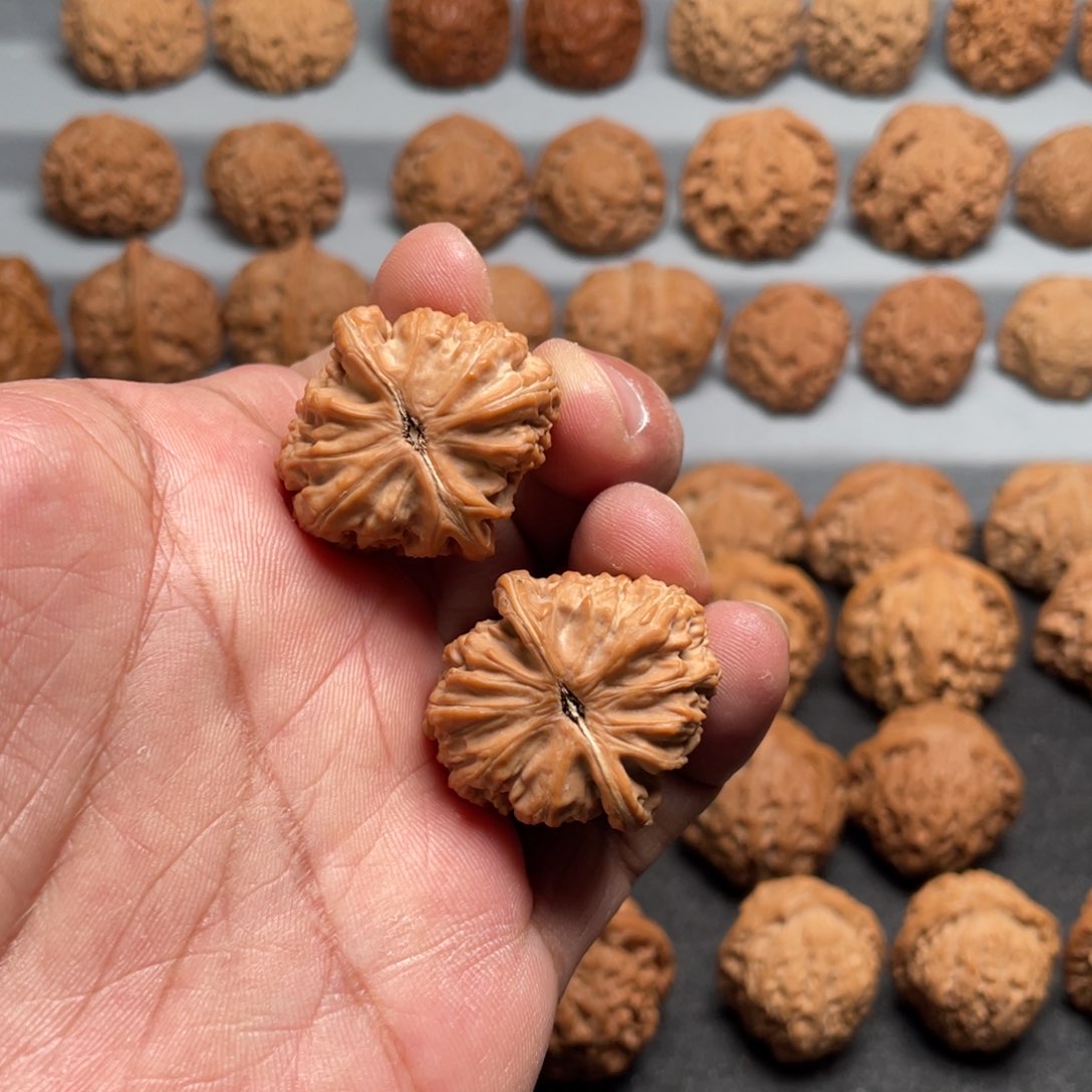 文玩核桃吊坠31白狮子