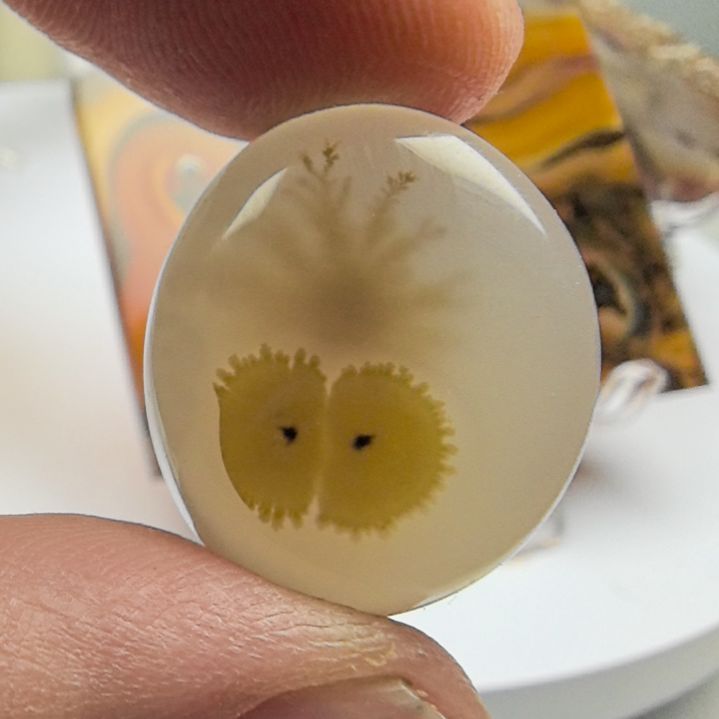 非金属时尚饰品08