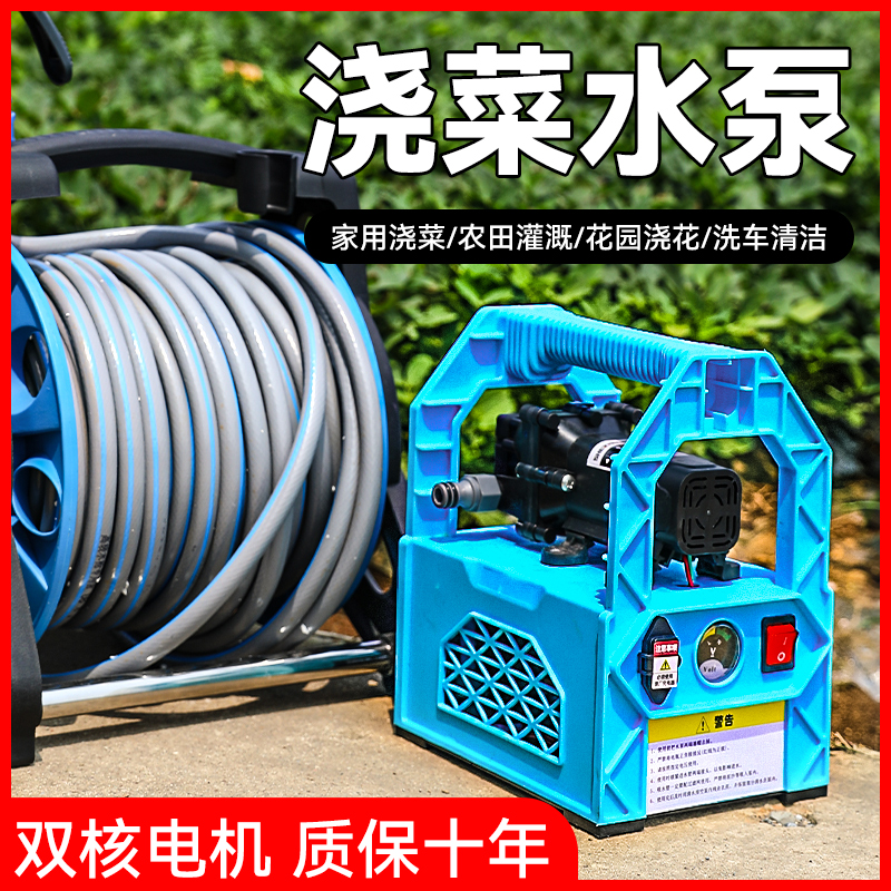 浇菜神器浇水机家用户外浇地神器菜地抽水机农用灌溉充电式抽水泵商品图