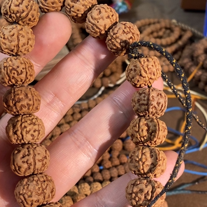 晶***Y金刚菩提吊坠一档六瓣树王单圈