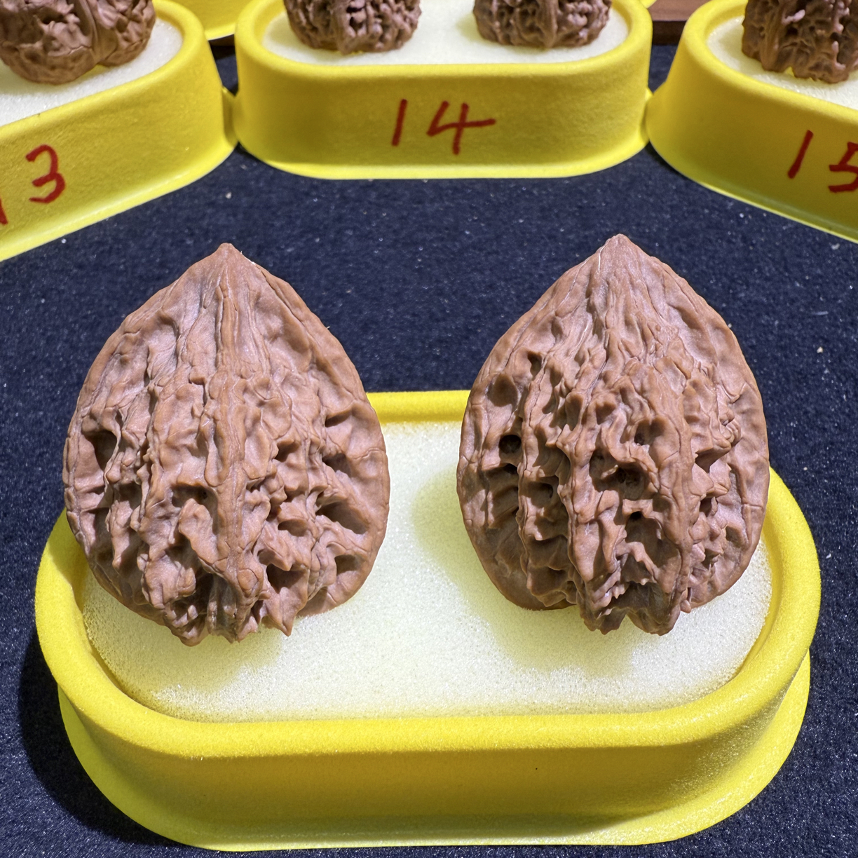 文玩核桃秦岭野生无名鸡心40尺，全品无修