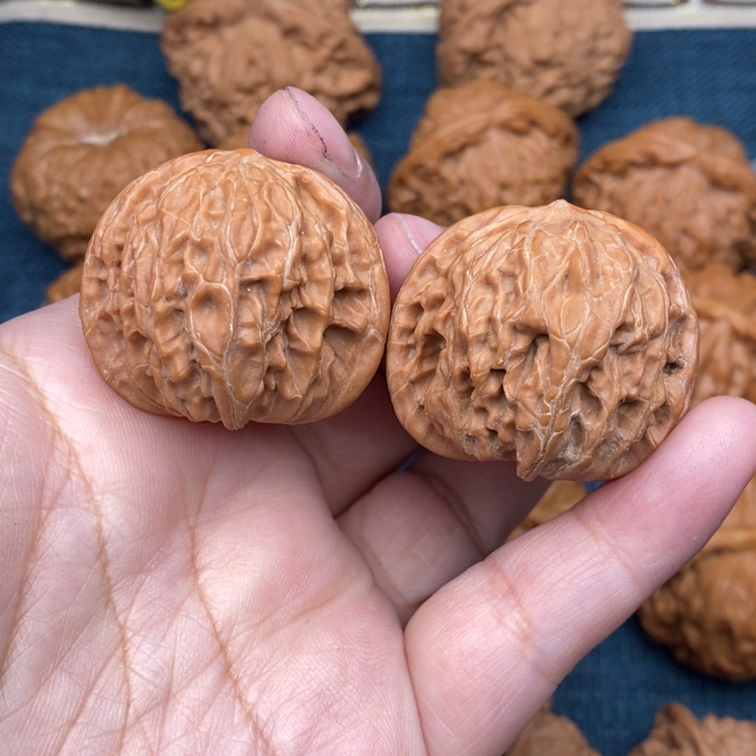 文玩核桃把件35山地小正磨