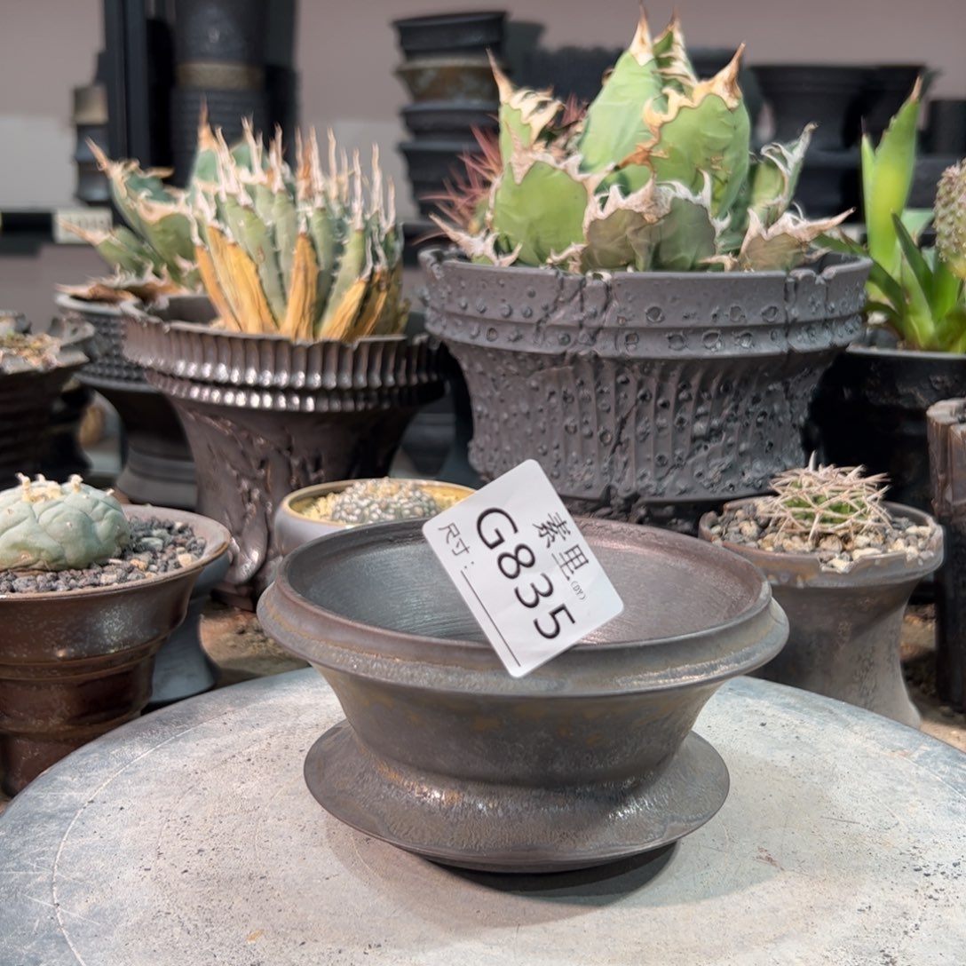 景德镇手工素里内口12.5高7瑕疵