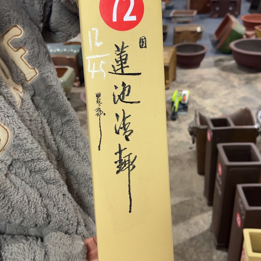 紫砂花盆呜呜呜呜