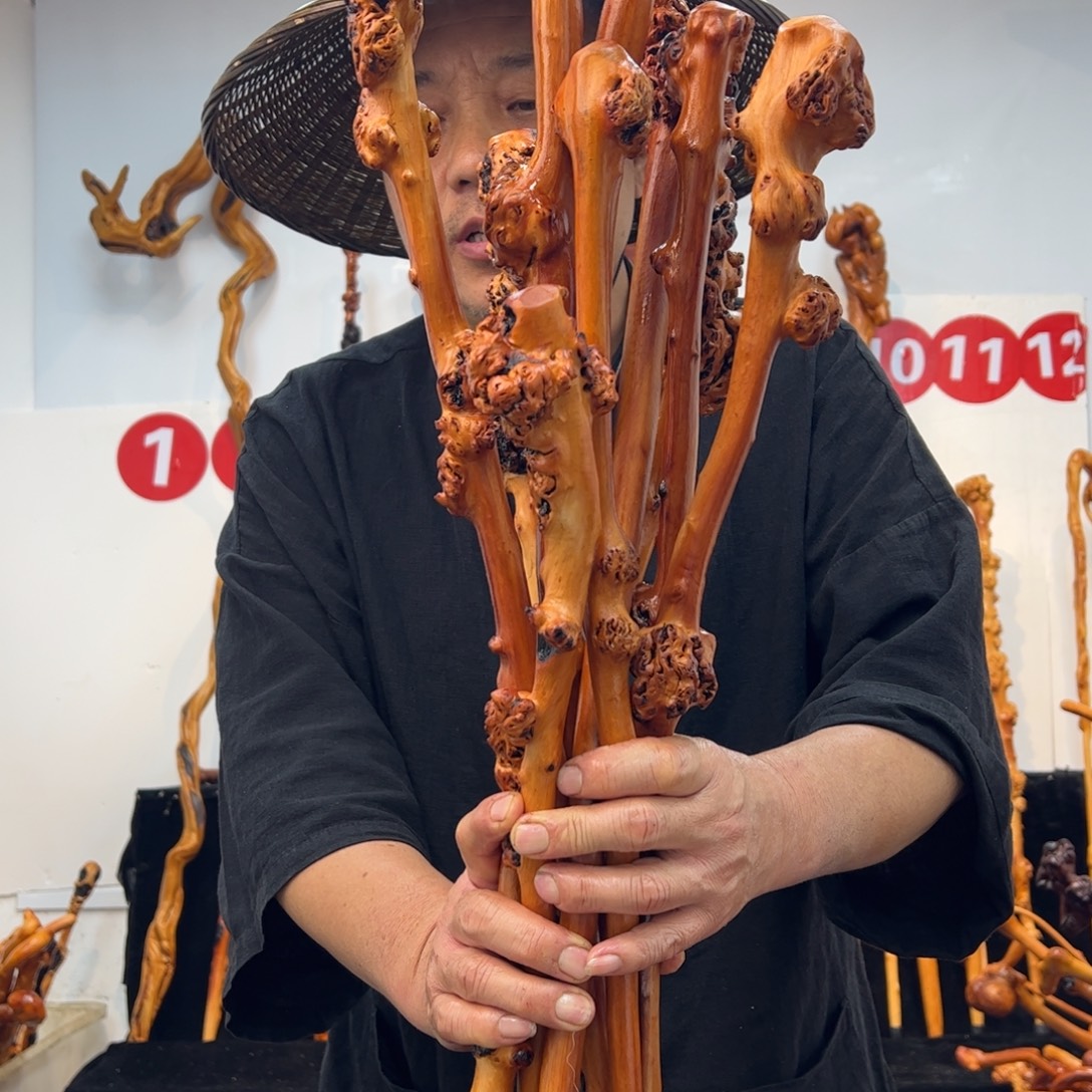 其他黑果木黑果木927