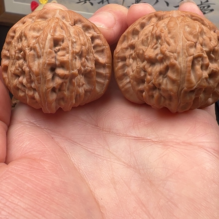 把件文玩核桃全品白狮子