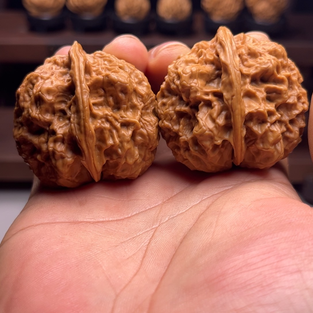 把件文玩核桃赤龙金蟾