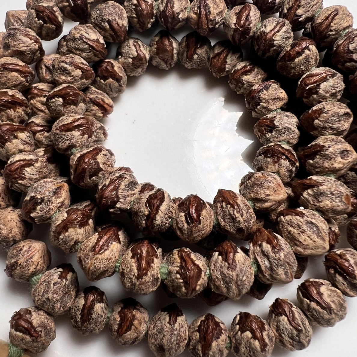 【黑嘴】热振横打红芽香籽脏脏烈嘴高油高密原装横打