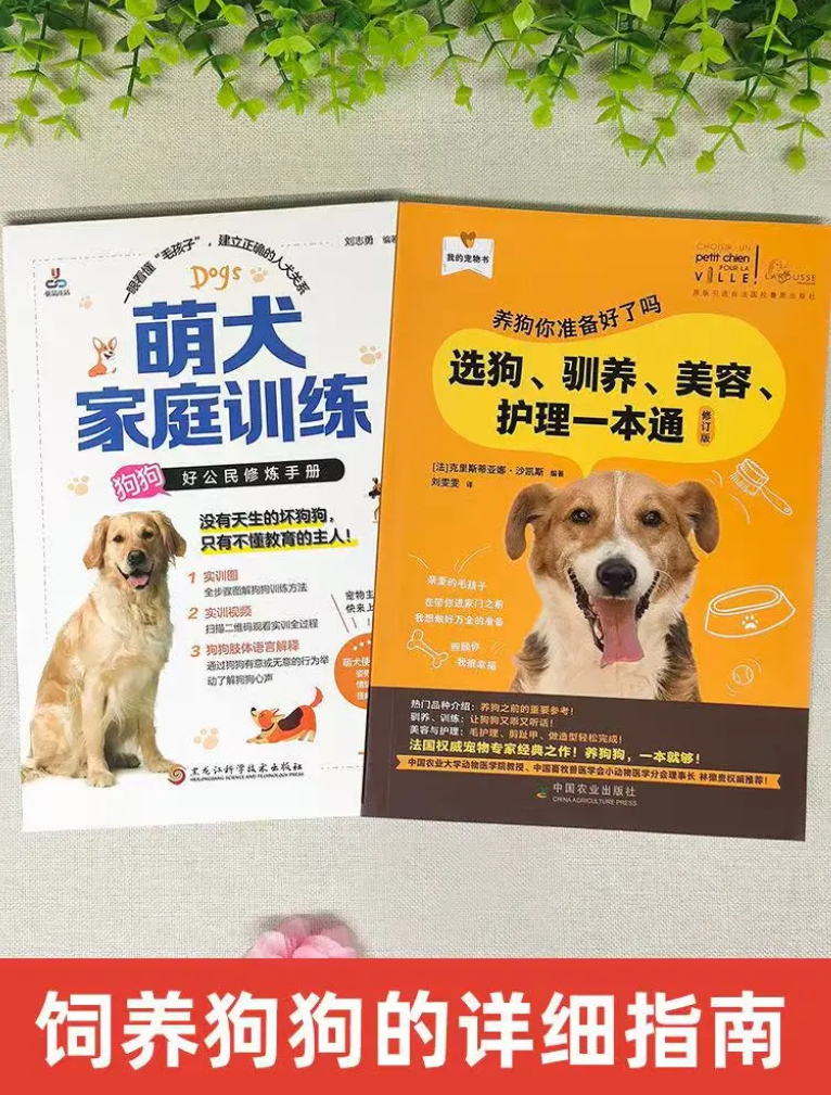教您挑选狗狗的方法与饲养技巧