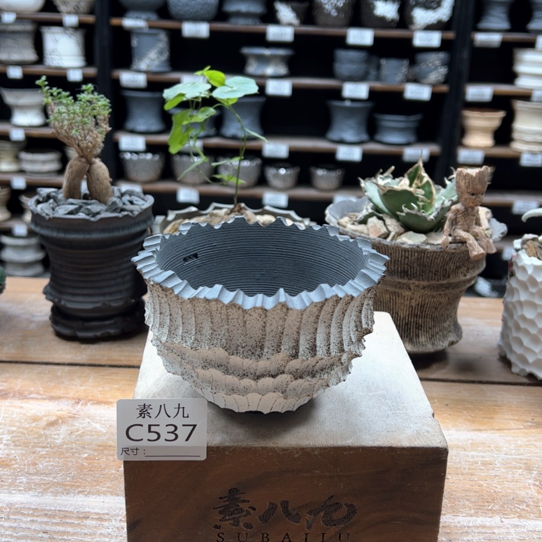 素八九陶瓷内口10高8