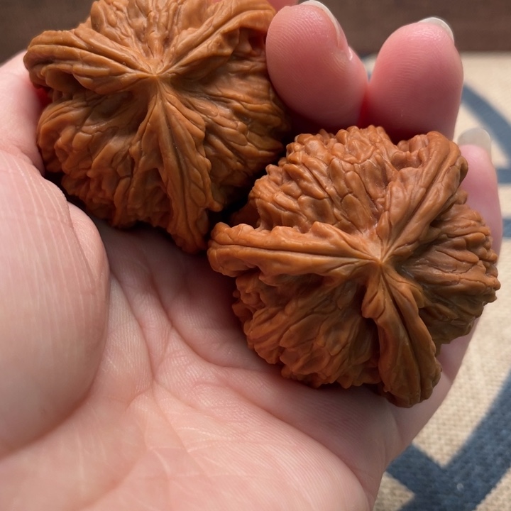 橙***甜核桃白狮子核桃41