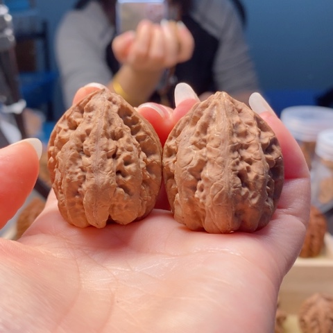 桃核把件降落伞楸