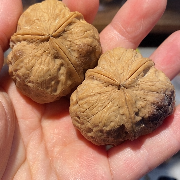 文玩核桃把件88887788¥@jj