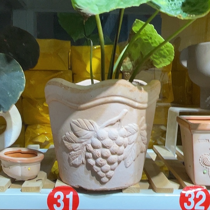 红陶19.5×18一个花盆