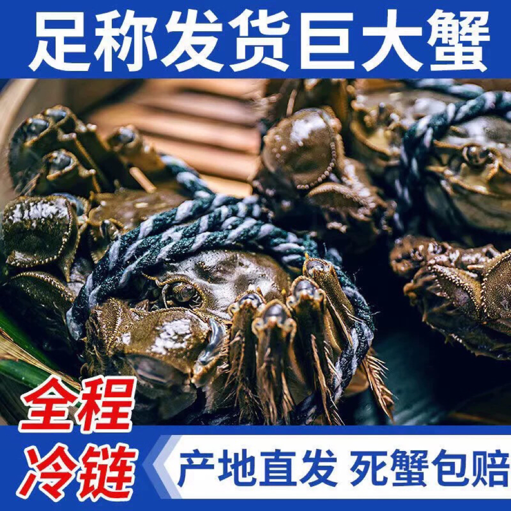 [大号蟹]盘锦河蟹公蟹 1.7-2两规格 14只装