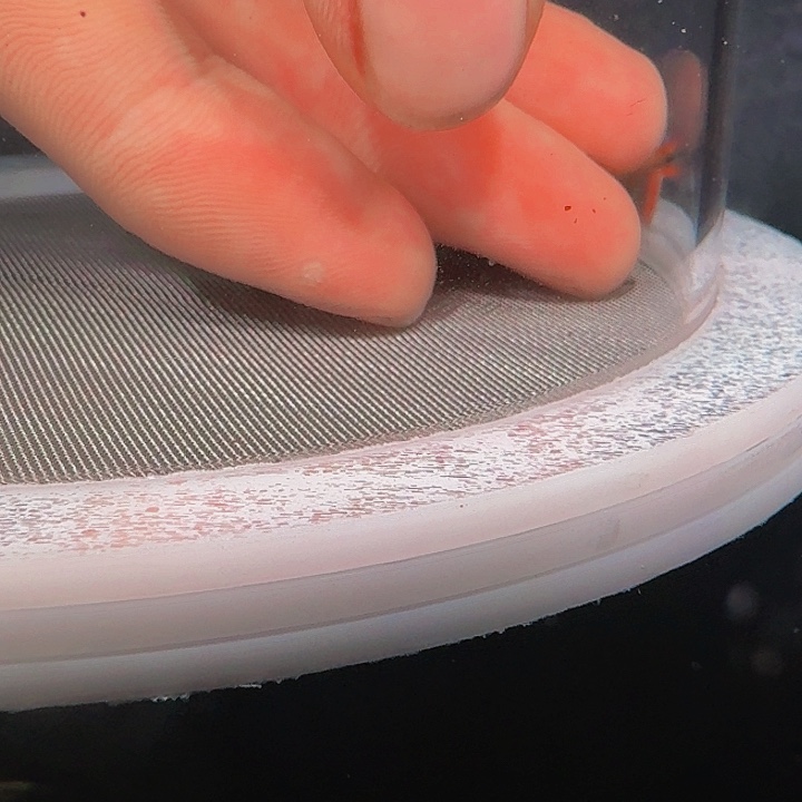 灯科鱼C11-16号白金赤霞1条1黑点