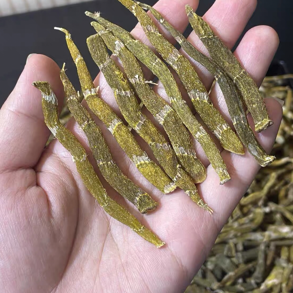 【高海拔珍虫石斛】可泡水煲汤炖肉的正宗无硫中药材