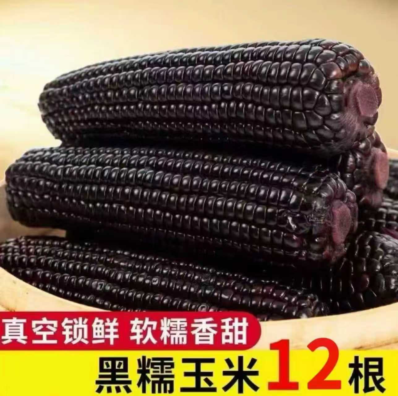 【整箱12根】黑糯玉米软糯香甜低脂轻食营养代餐粗粮【可试吃2根】