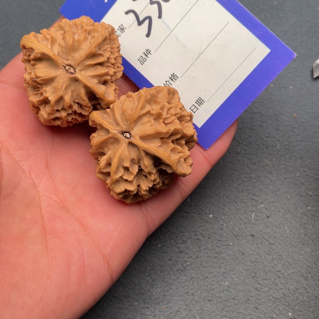 核桃把件46帝王，330号