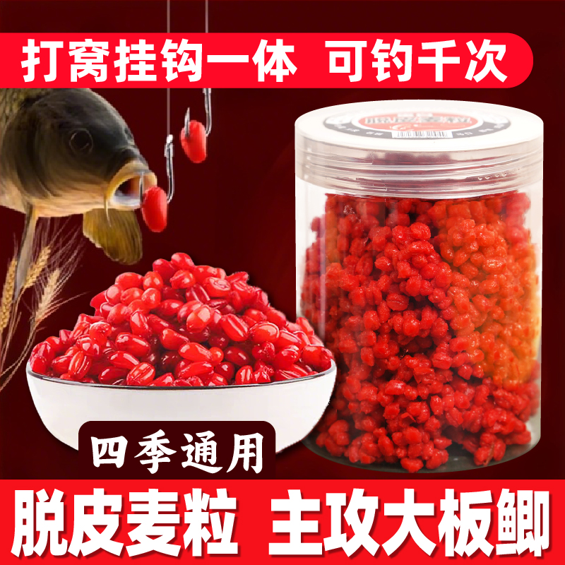 【年终回馈】蛋白脱皮麦粒（拍1瓶送2瓶）