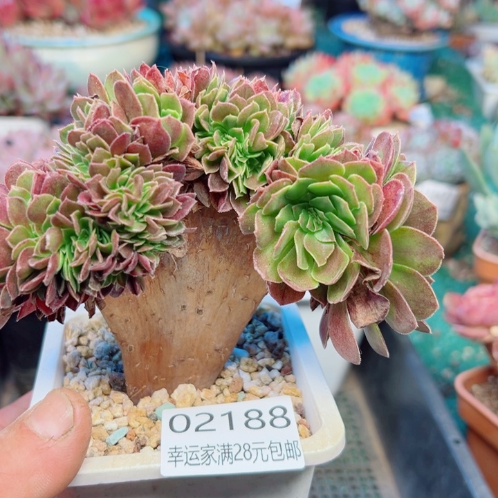 幸运的是我还没遇到过