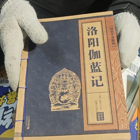 洛阳加蓝记平装库存书