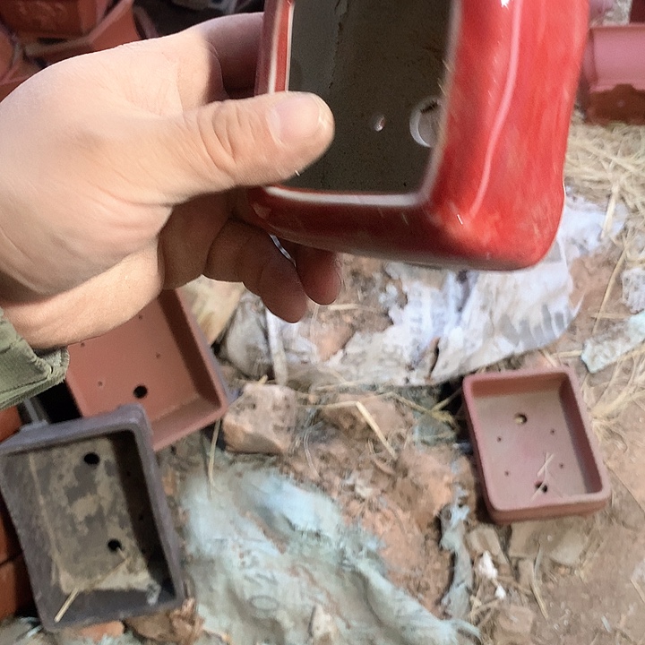 紫砂没有那么重要的人在我们