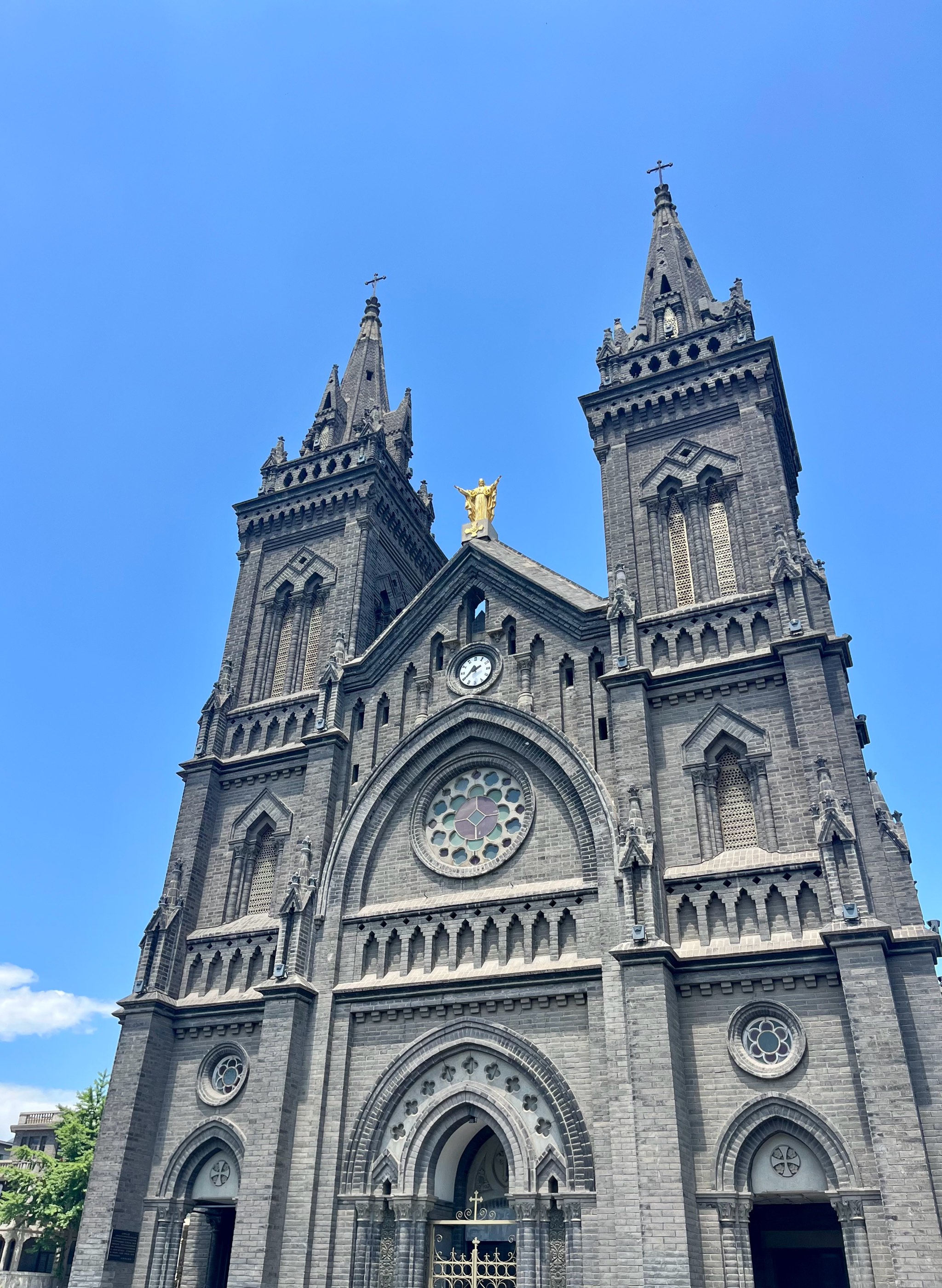 【PP】25GG新款针织短袖羊毛短袖（#467）