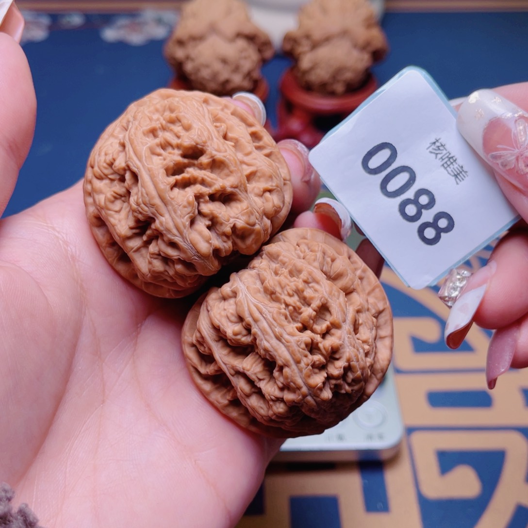 文玩核桃把件呼****谱粗筋0088