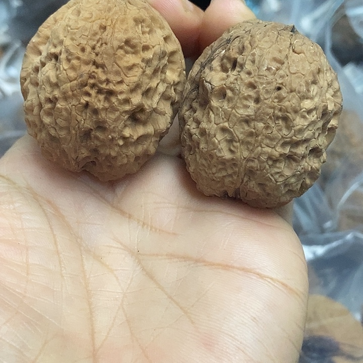 木质类云南铁核桃基地41