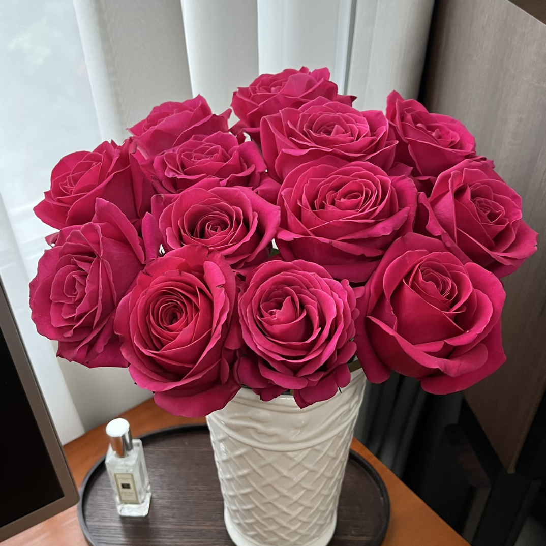 【弗洛伊德】单头玫瑰新鲜鲜花云南基地直发《拒收不售后》