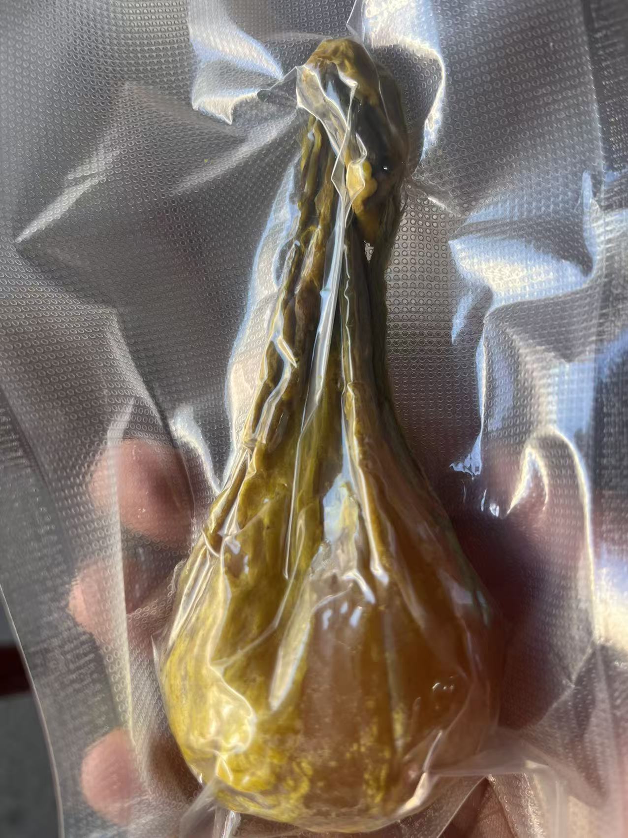 哦罗斯棕胆 文玩摆件 工艺品