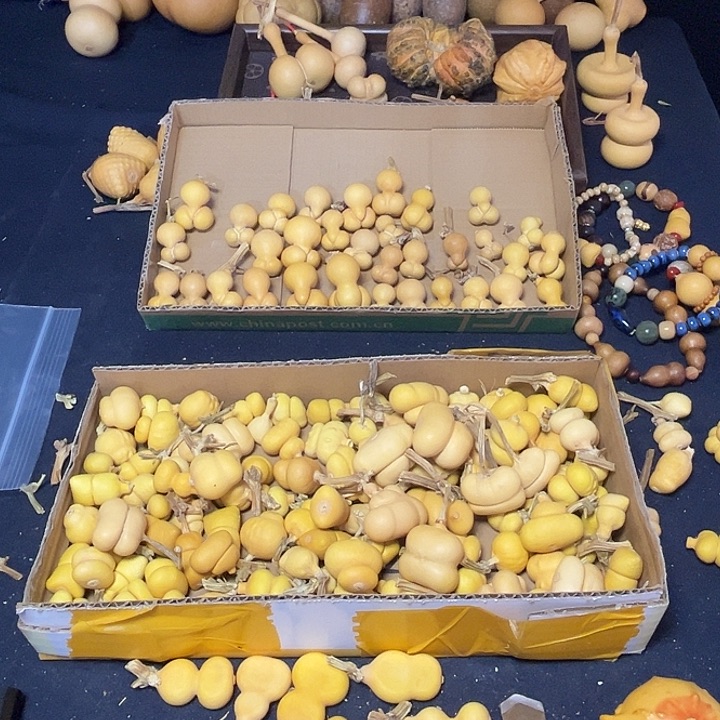 影***》新人奖等多项大奖和奖项