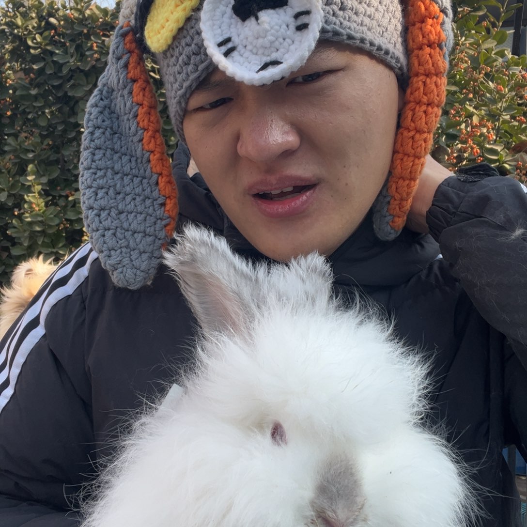 清***园双血统英系安哥拉兔