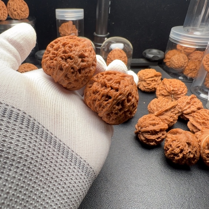 文玩核桃把件陈*生42.5水龙已打底