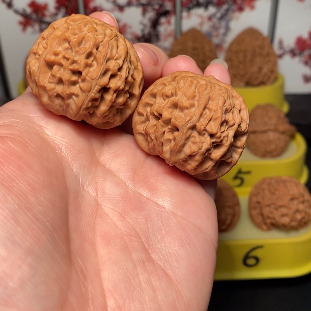 文玩核桃把件肥***的37尺龙眼核桃