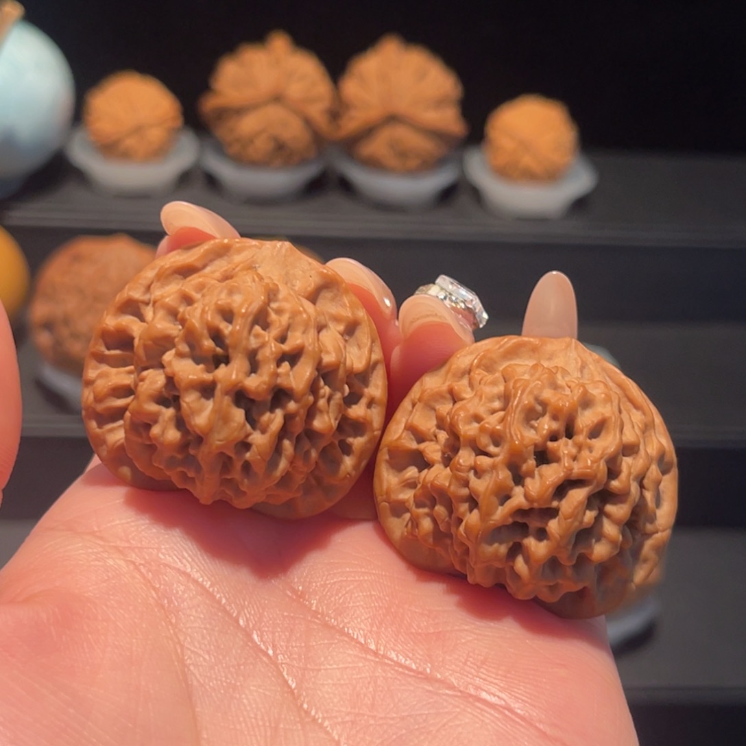 龙***鱼秦闷36➕，全品，货头503