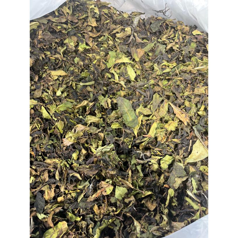 【高黎贡山】南斋公房，野生高杆单株