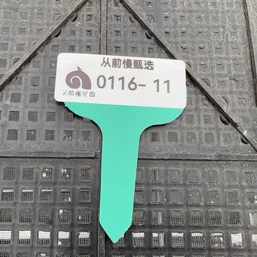 从前慢花园精选0116-11