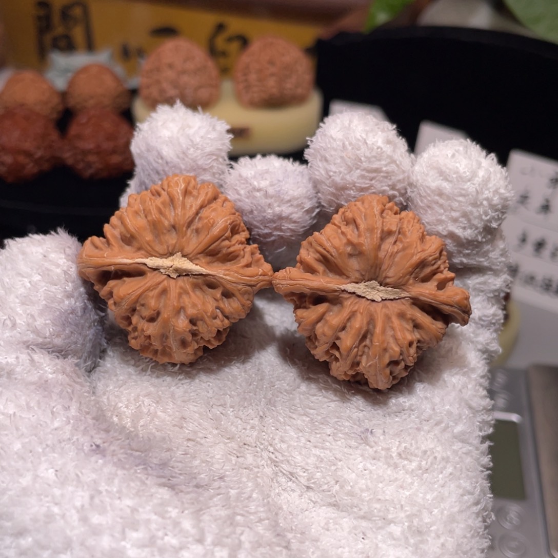 文玩核桃把件全品红皮密纹38尺石膏底，运费自理