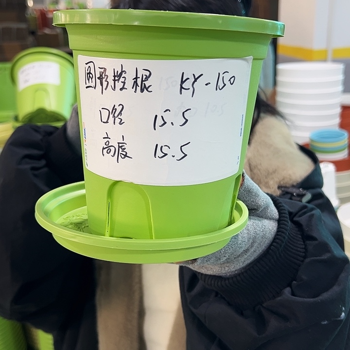 正品圆形控根口15高15果绿色10个带托