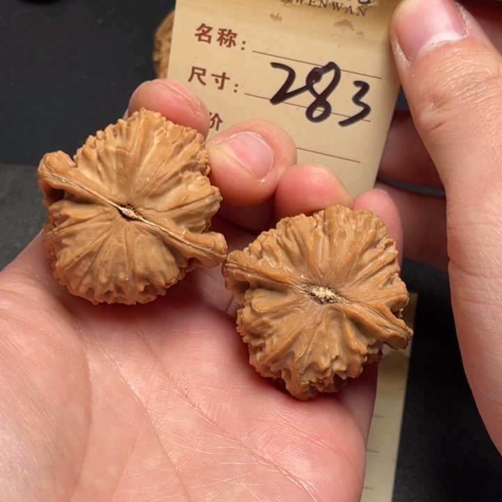 文玩核桃把件白狮子41尺全品白茬283