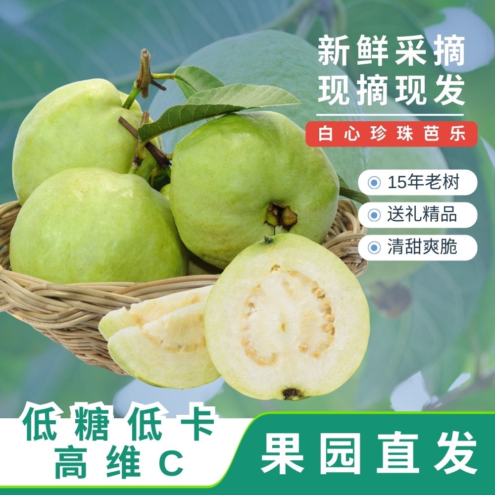 广东现摘白心珍珠芭乐精品番石榴低糖低卡高维C果园靓果