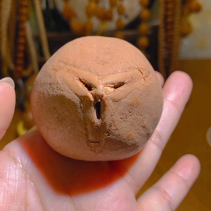 野生蟠桃三花大橄榄5560