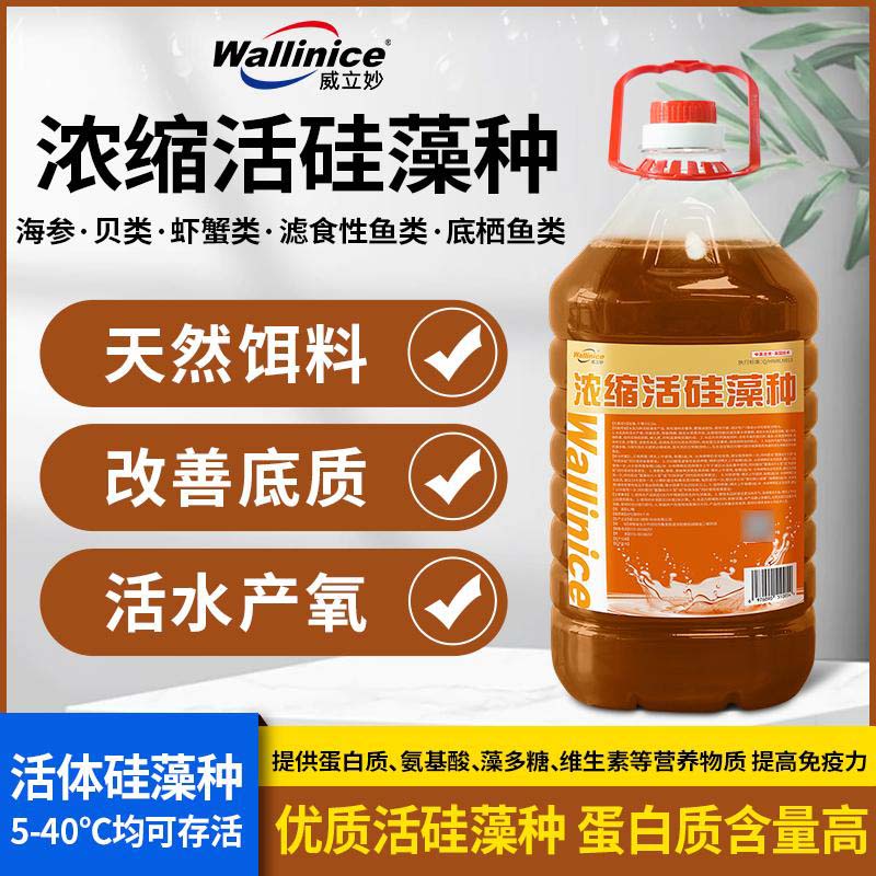 威立妙浓缩活硅藻种底栖硅藻活水产氧稳定水质花白鲢低成本