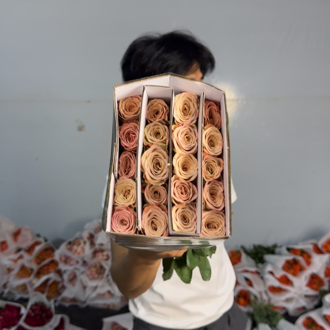 卡布8扎包邮价秒杀