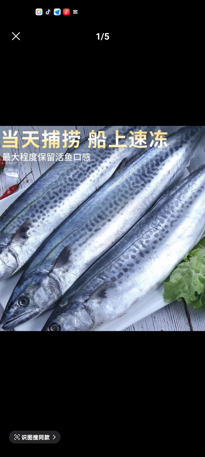 新鲜海捕鲅鱼，马鲛鱼，燕尾鲅可红烧可香煎美味可口