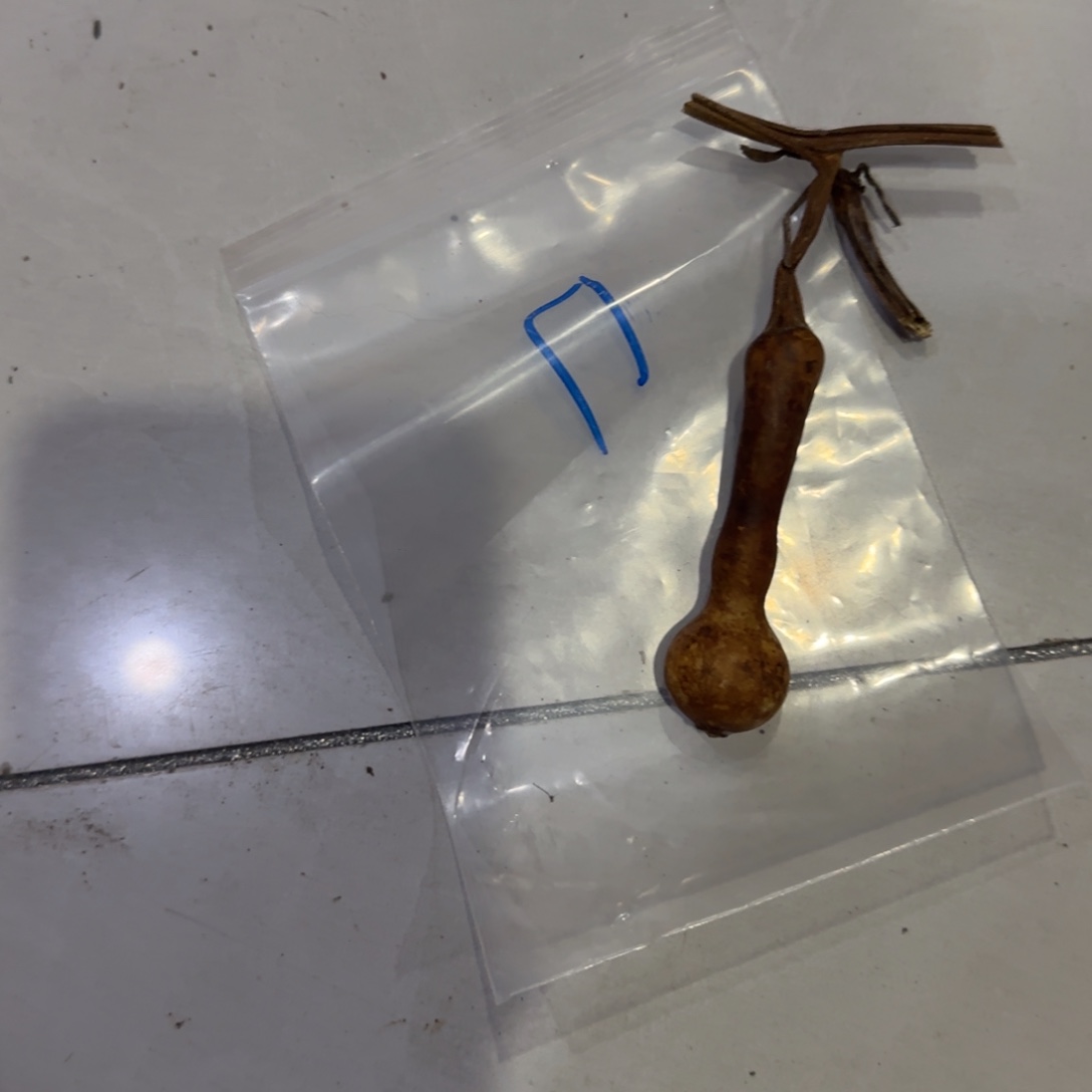 ****龍葫芦咯哦群理论与Tom哦