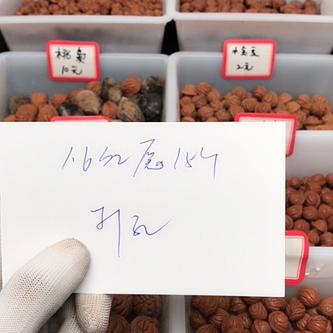 桃核吊坠用****9龙纹桃核的搭配