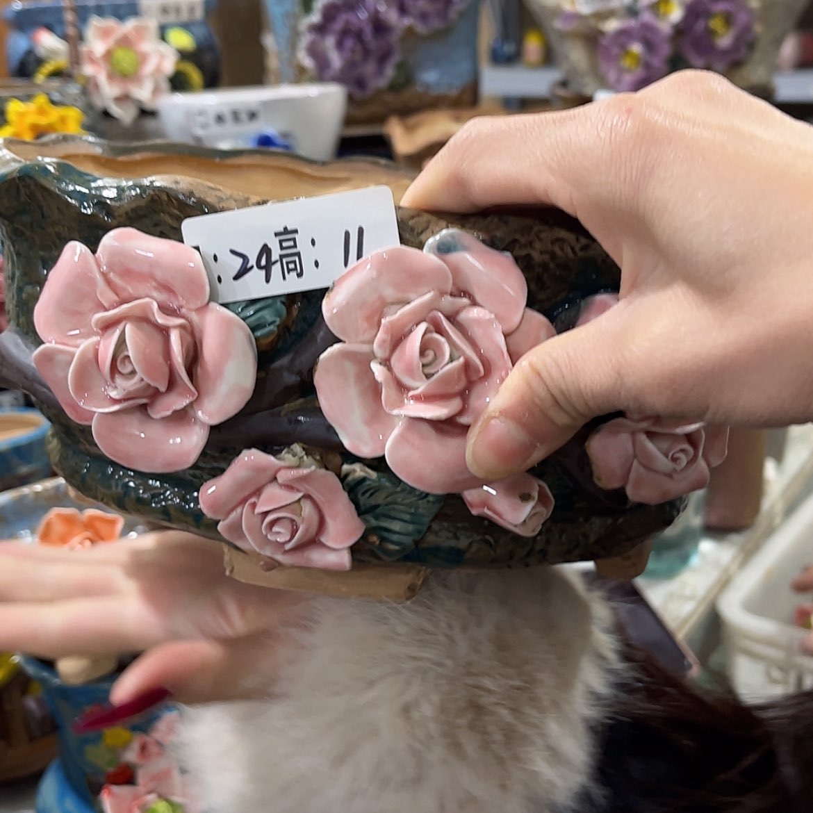 【闪购商品】红陶福利